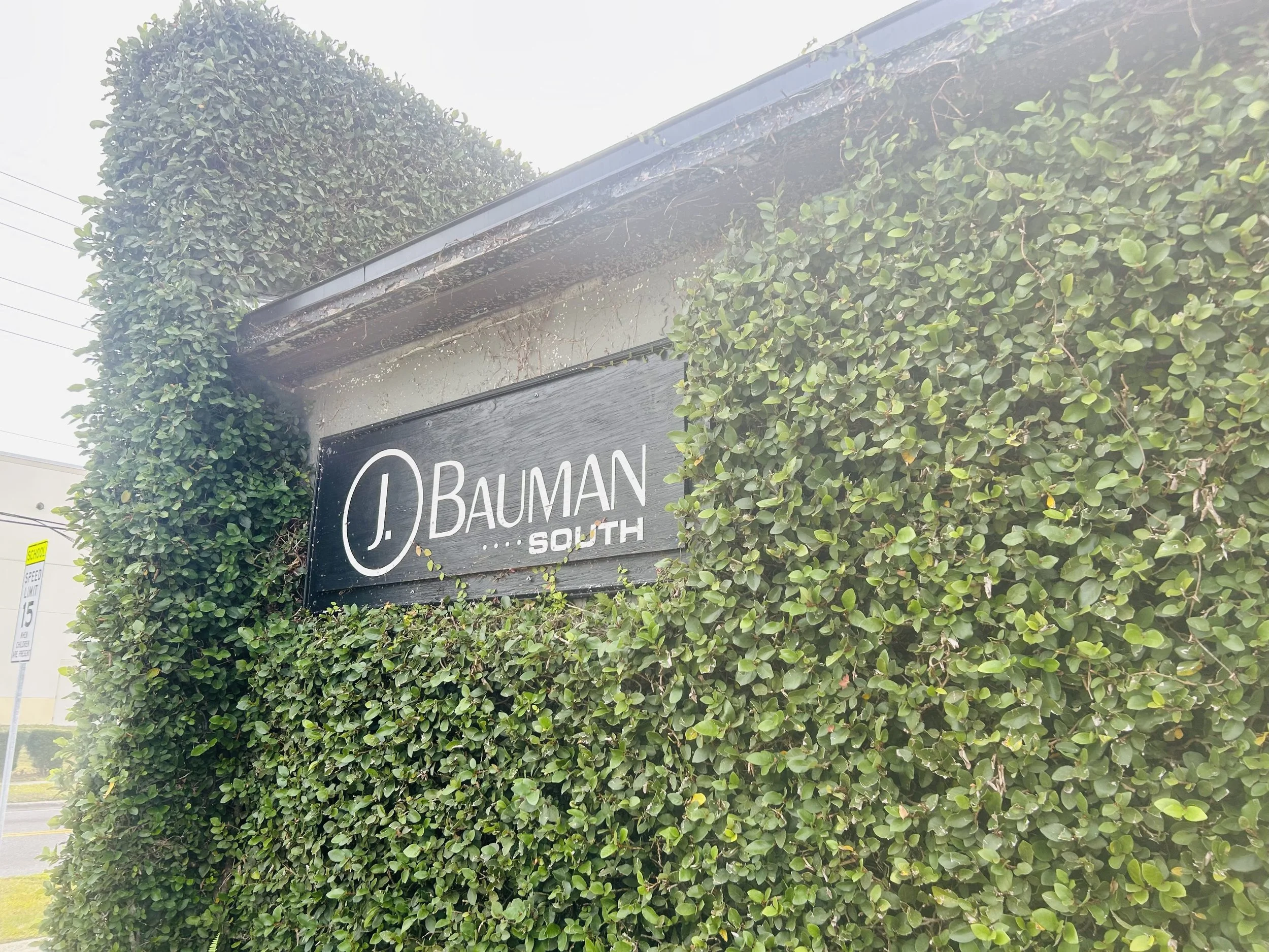 Sun, Small Wins &amp; Settling In