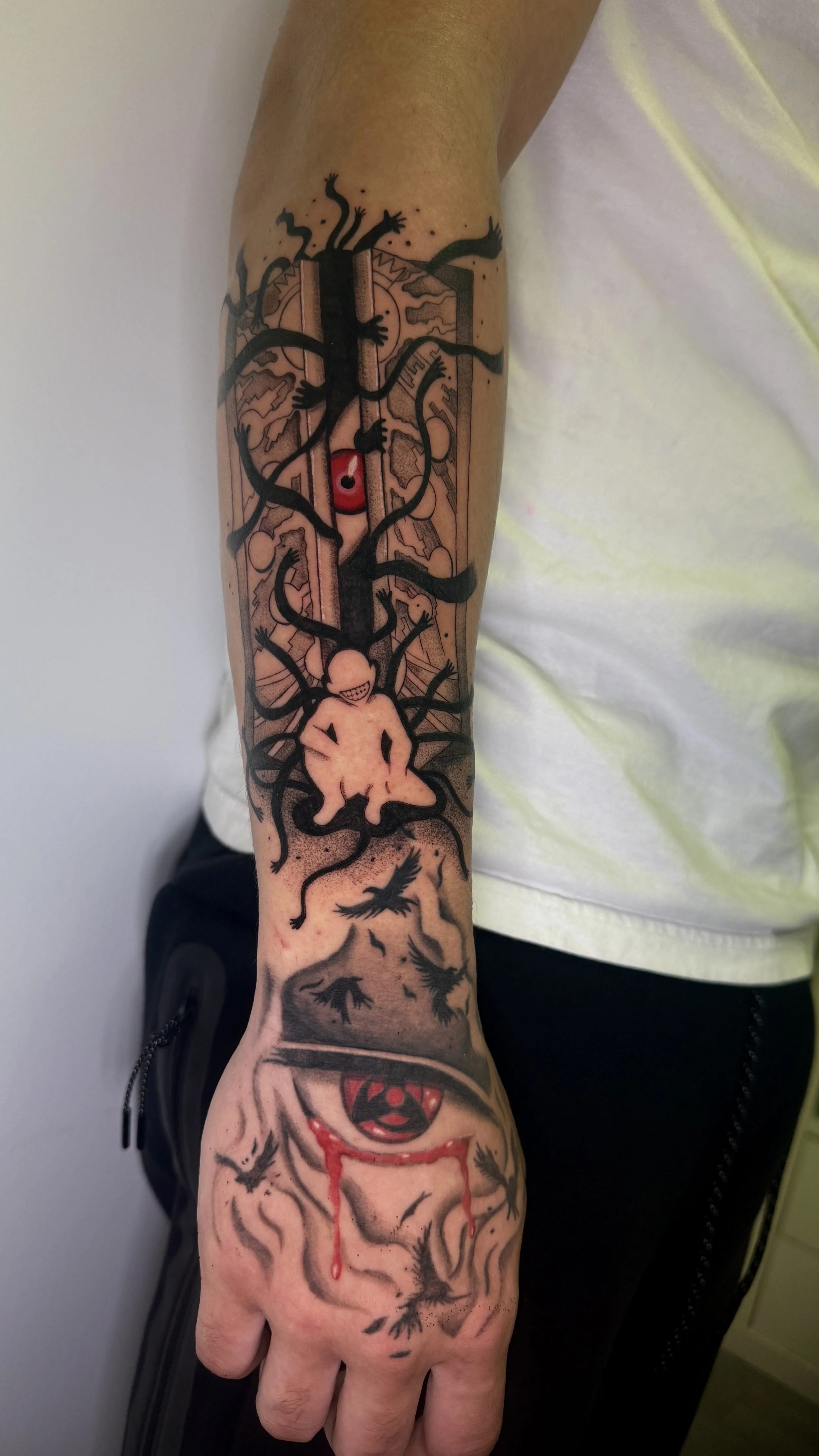Naruto + FMA Anime Sleeve