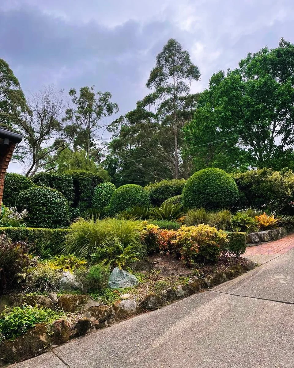 From seeding to weeding, our team is here for all your garden's needs. Sit back, relax, and let us handle the ongoing care! 🌱🛠️ #gardening #ExpertMaintenance #gardenmaintenance #gardener