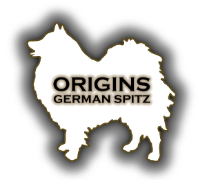 ORIGINS GERMAN SPITZ