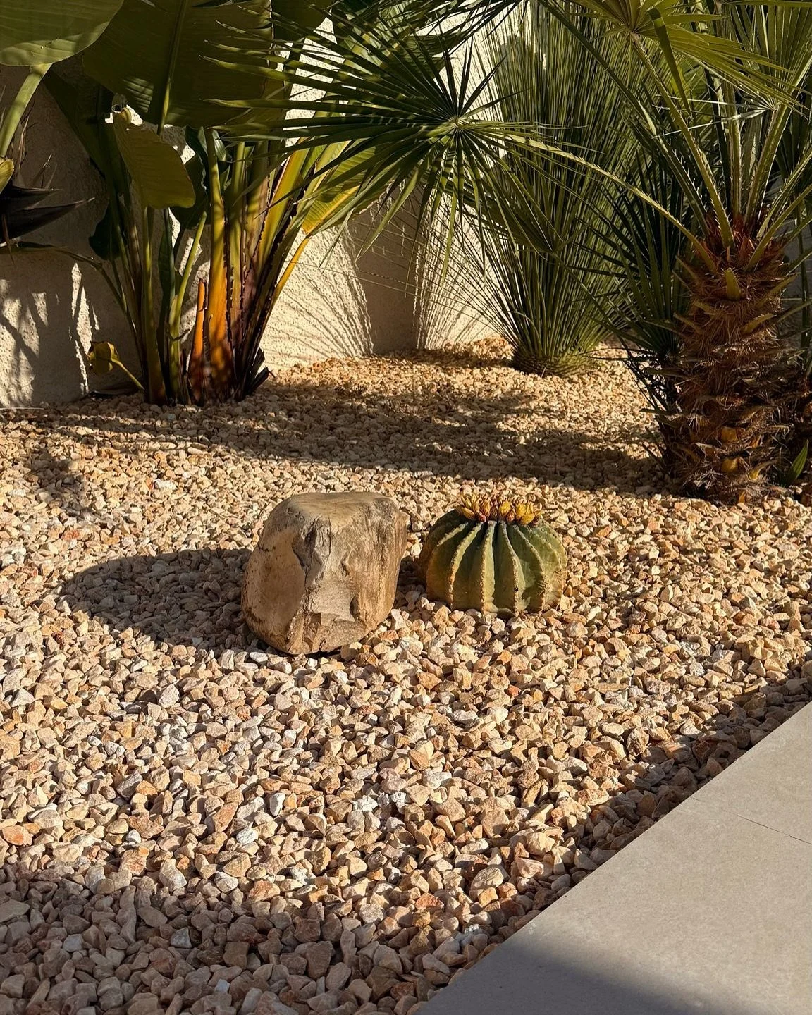 Season&rsquo;s on. We&rsquo;ve been out in the garden&mdash;moving stones, checking in on the cacti, doing routine maintenance, getting the delano back in her spring era.
Nothing major, just the little things that bring the place to life again.

The 