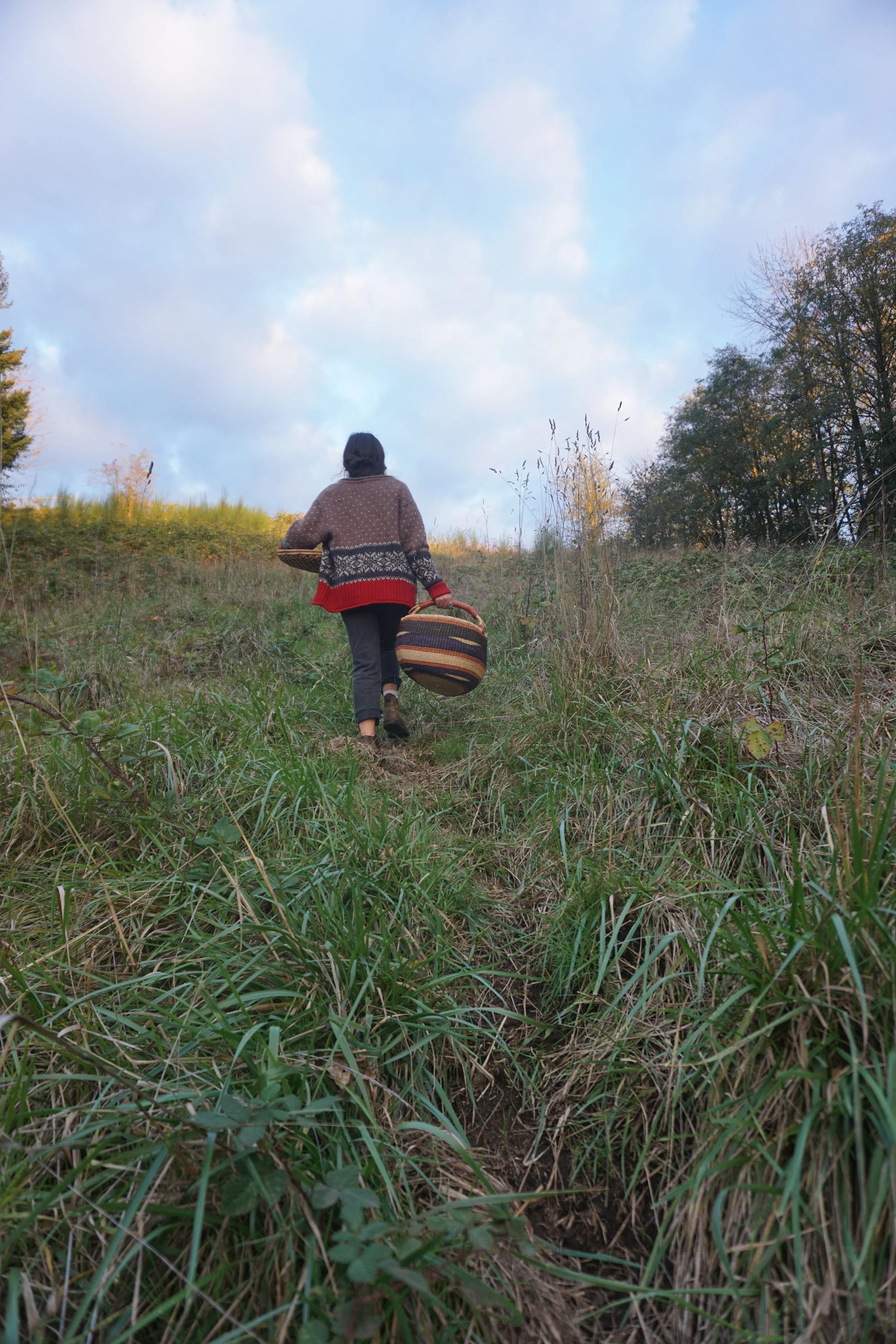 A person walking uphill through tall grass carrying a basket and a container, with a cloudy sky and trees in the background.