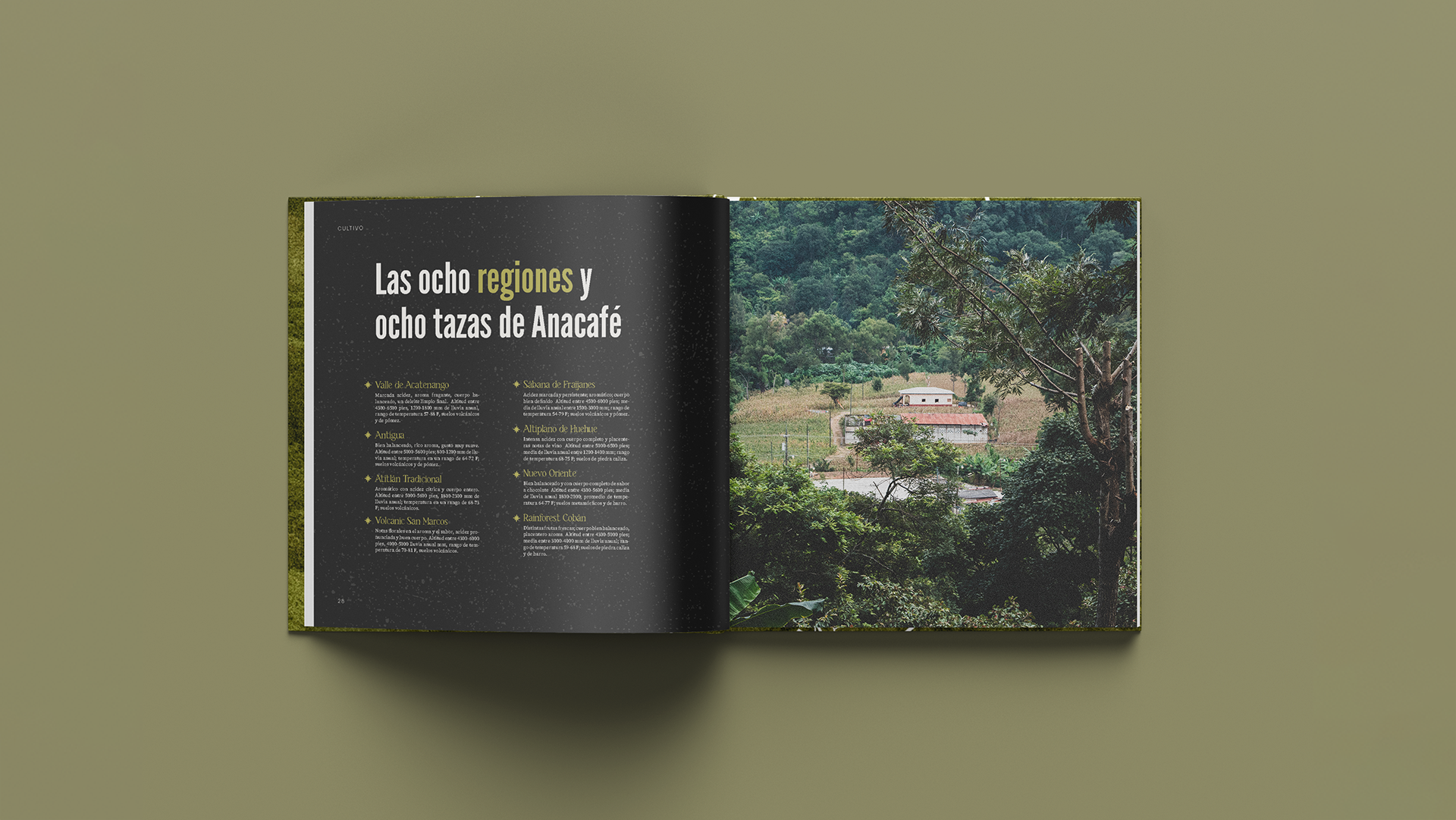 Mesa de trabajo 5.png