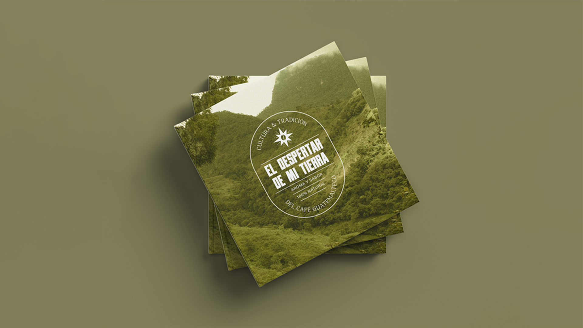 Mesa de trabajo 1.png