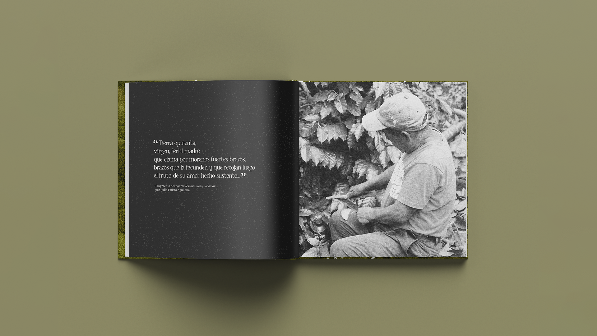 Mesa de trabajo 3.png