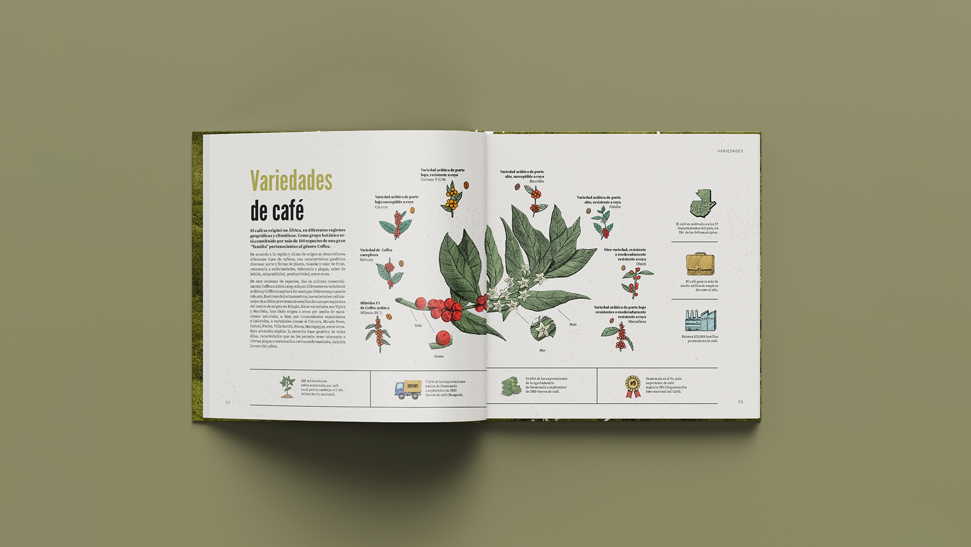 Mesa de trabajo 4.png