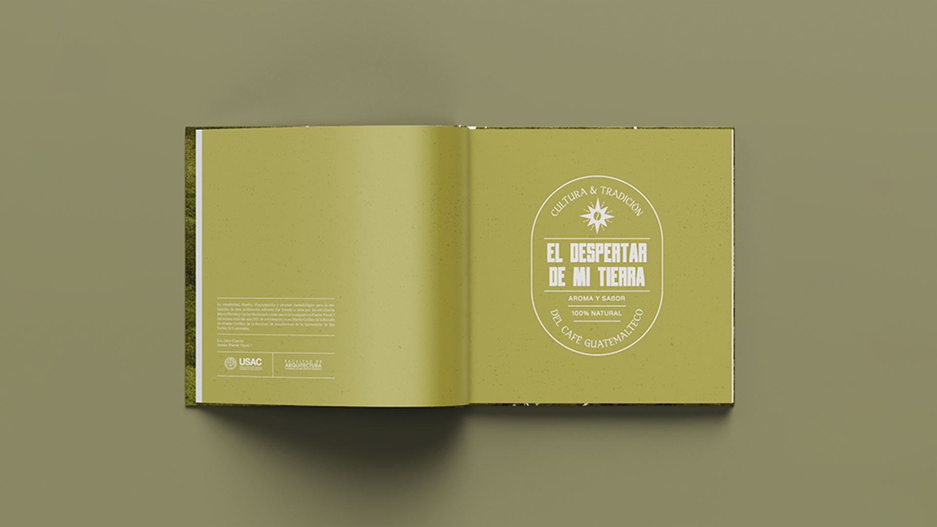 Mesa de trabajo 2.png