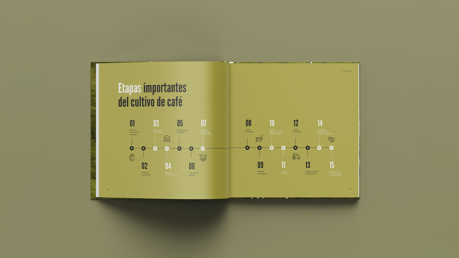 Mesa de trabajo 6.png