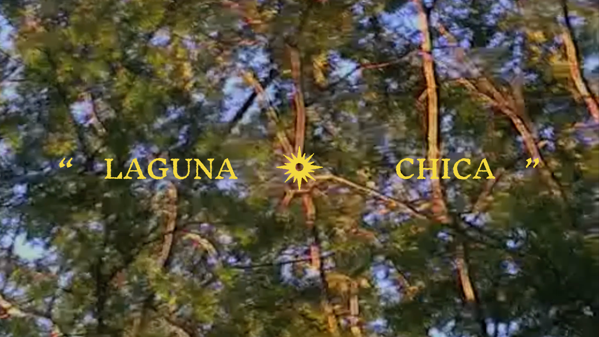 LAGUNA CHICA.png