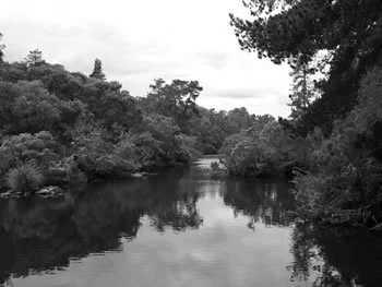 Aboriginal Rock fish traps possibly 19000 years old
