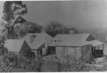 Patrick Taylors Candyup