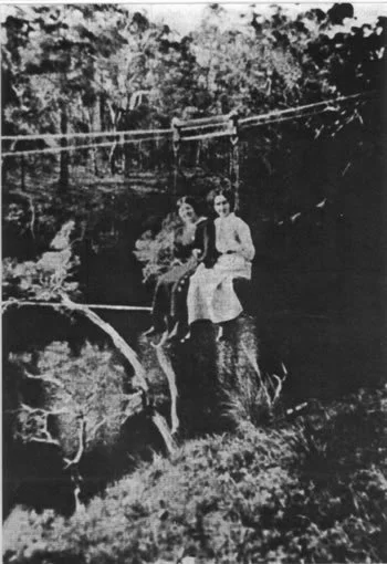 Flying fox over the Kalgan River