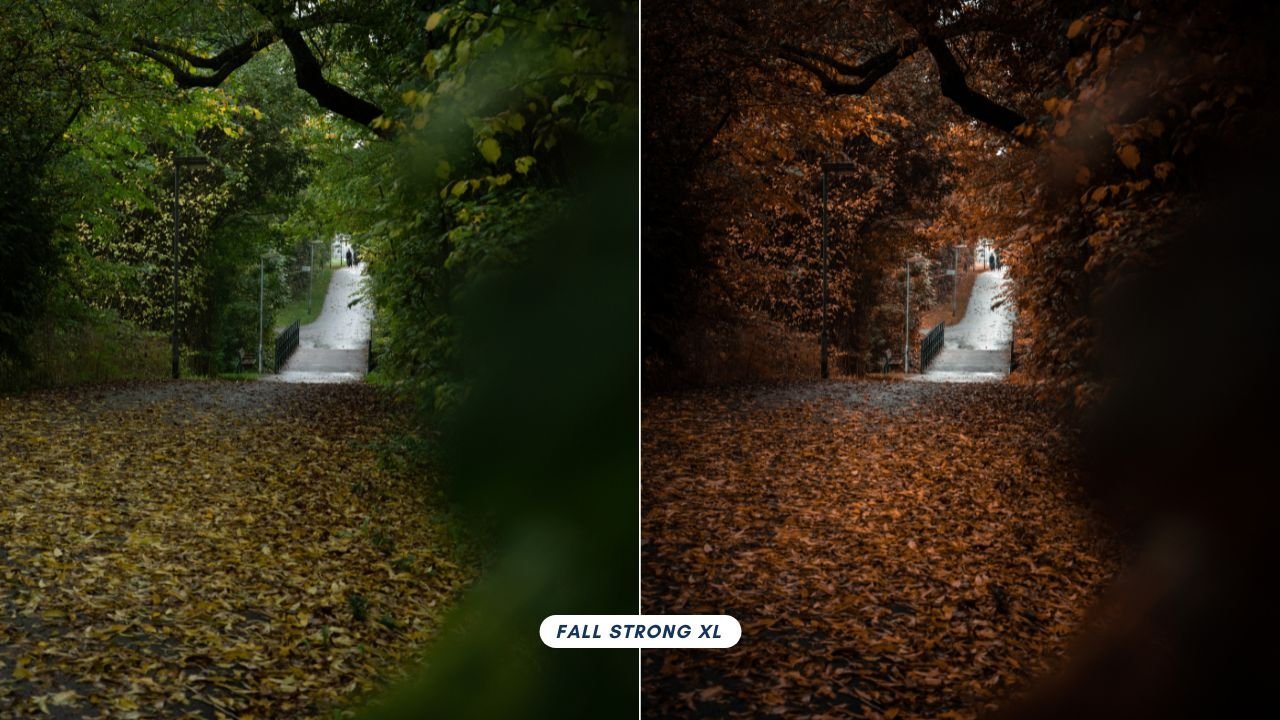 Before+after+Fall+strong+Xl+lightroom+preset.jpg