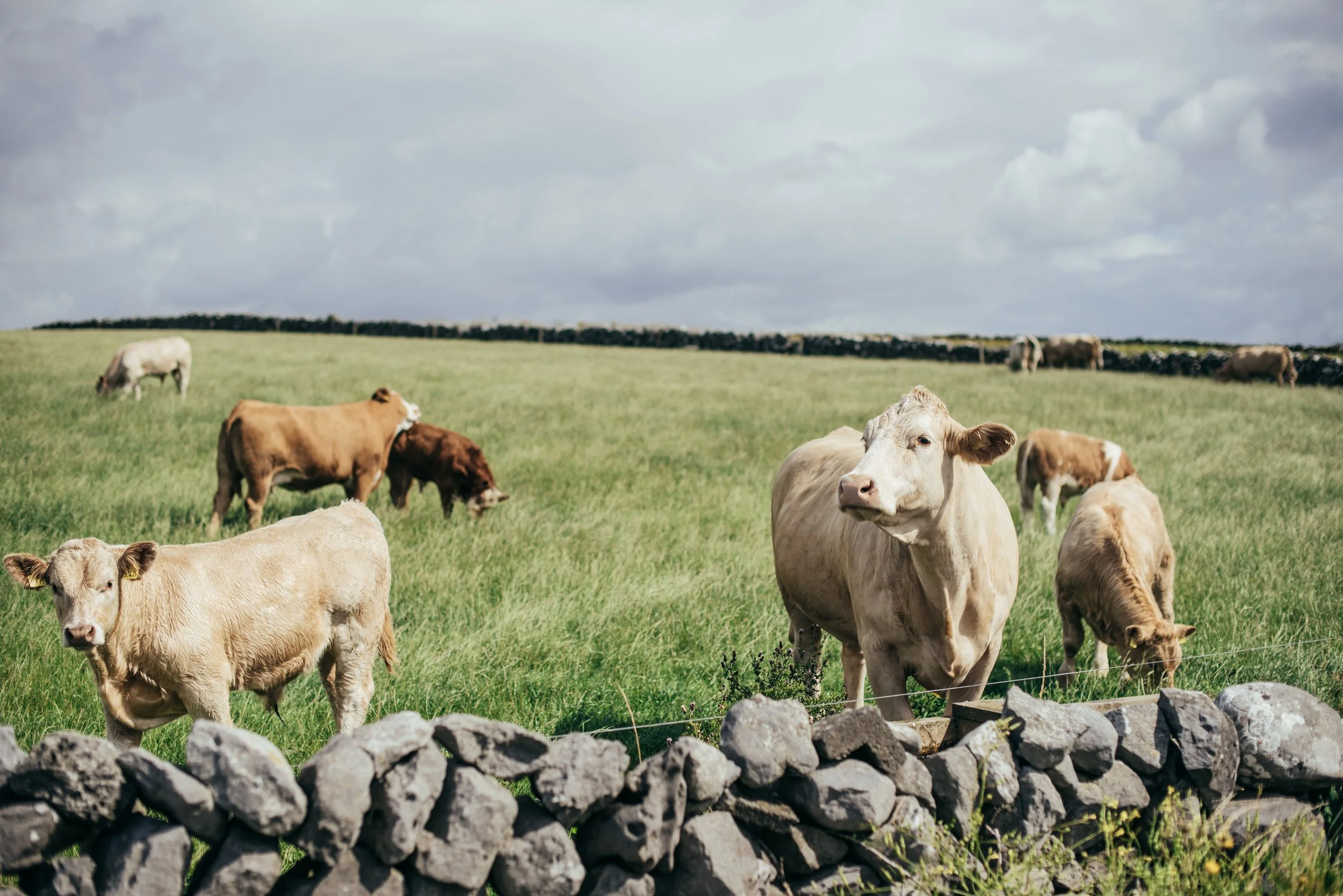 Ireland