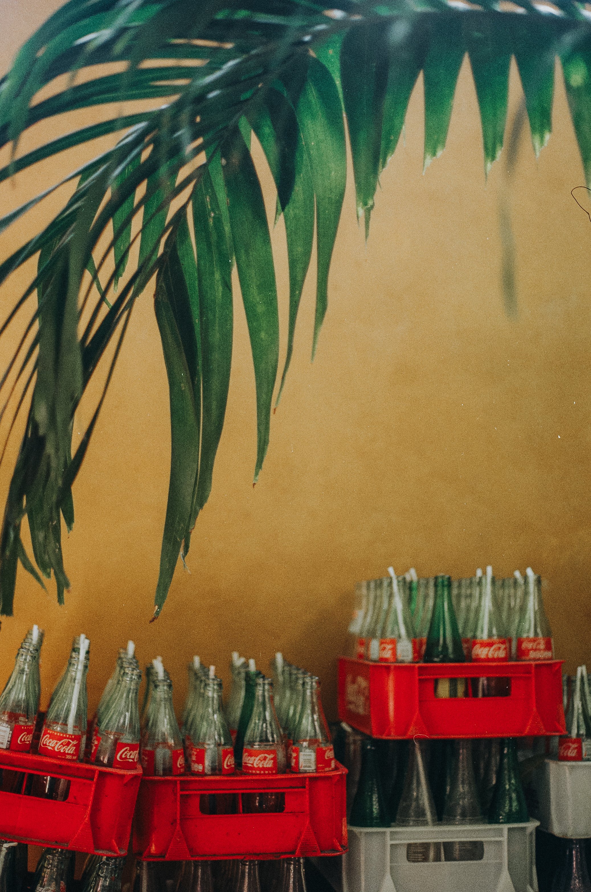 Refresco, 2019
