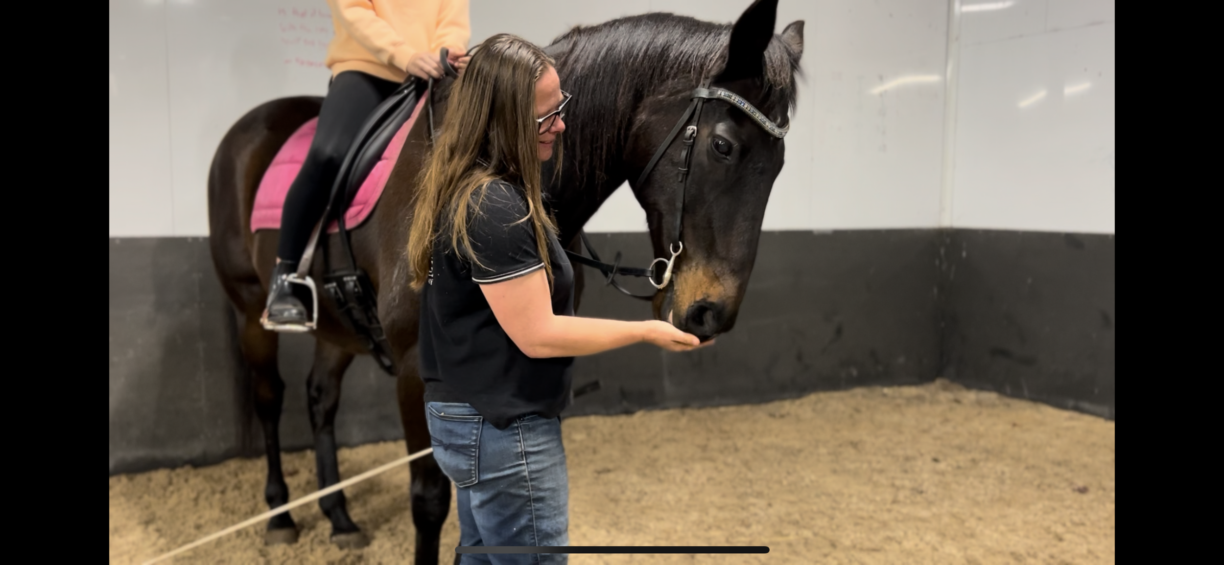 Classical dressage taught with school horses in Mount Gambier South Australia.