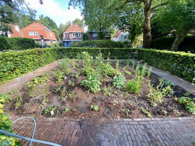 09-06-2023.1 Tuin Tsur Bilthoven  normaal.jpeg