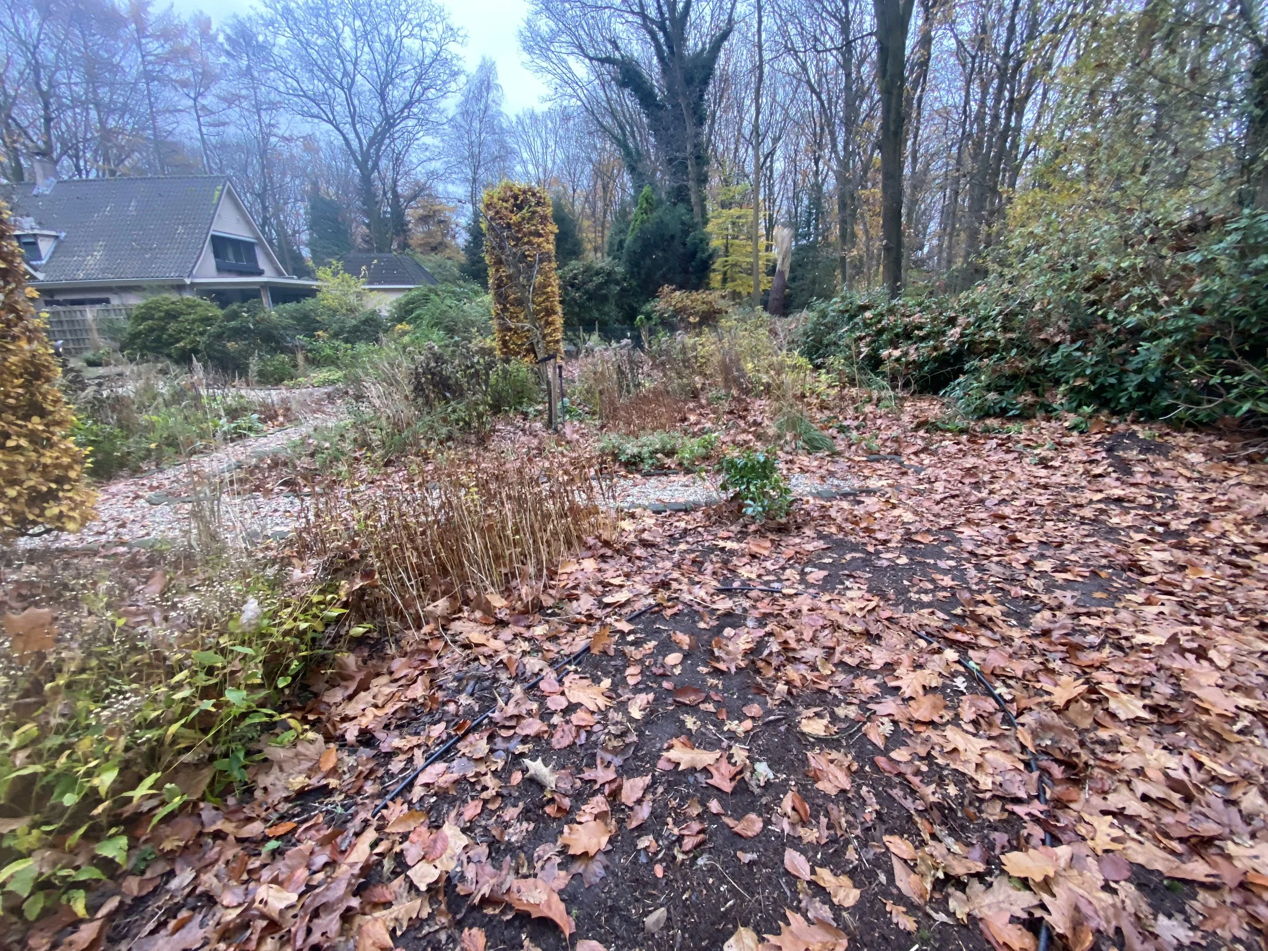 Voor de herinrichting 