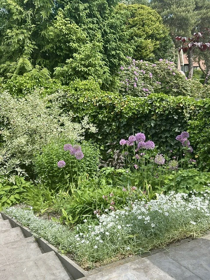 Beplantingsplan en herinrichting achtertuin Bilthoven