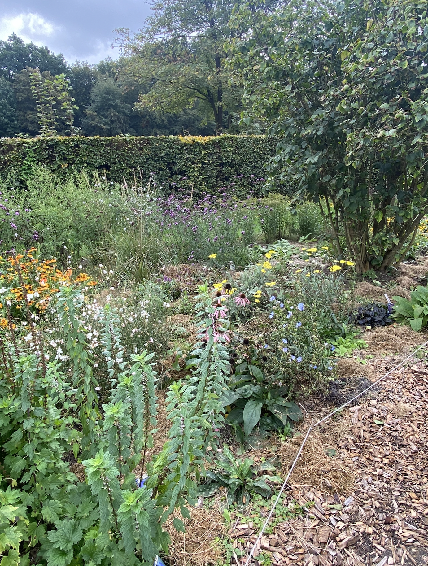 Foto 05-02-2026 om 21.11.png