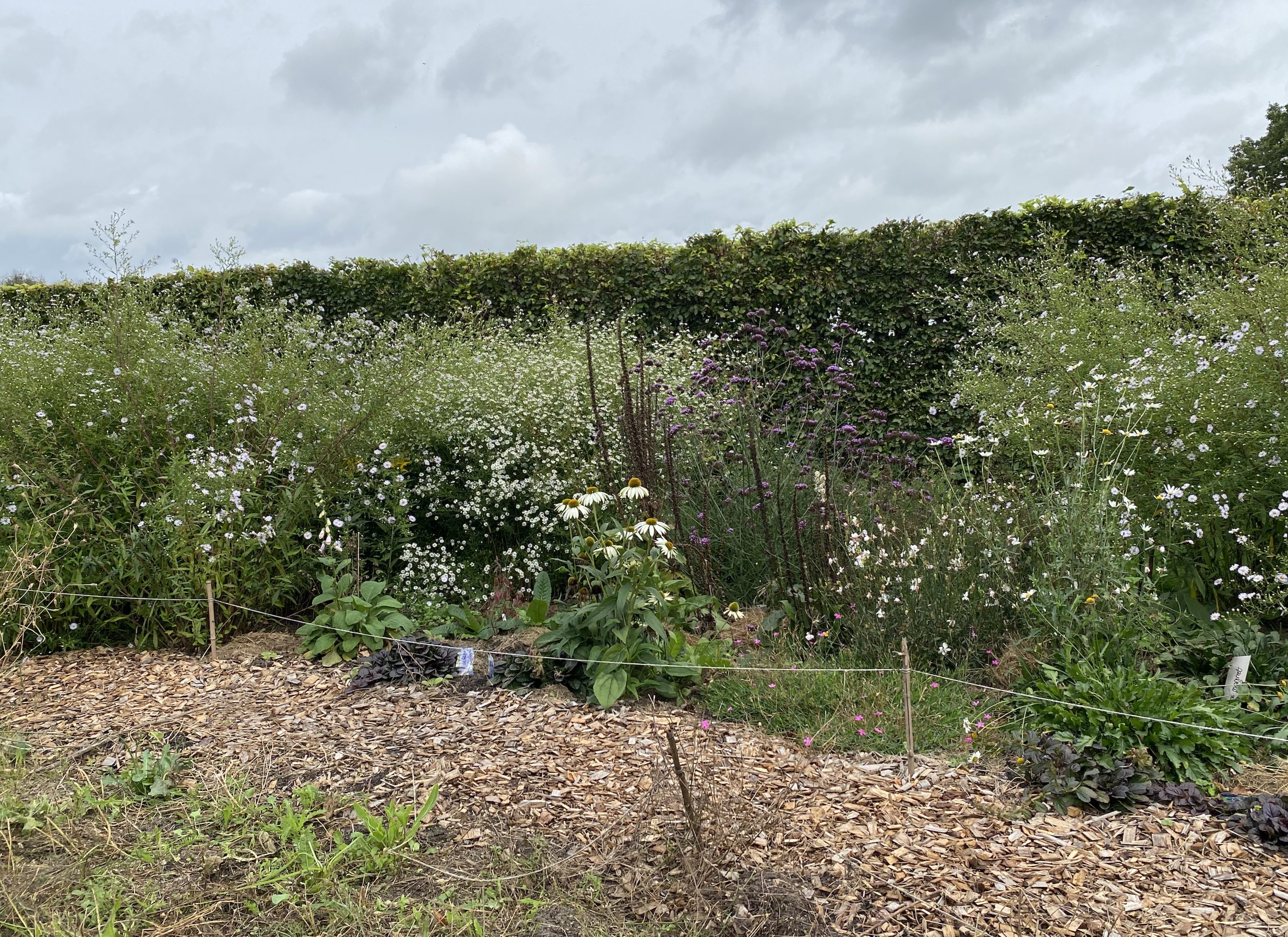 Foto 05-02-2026 om 21.10.png