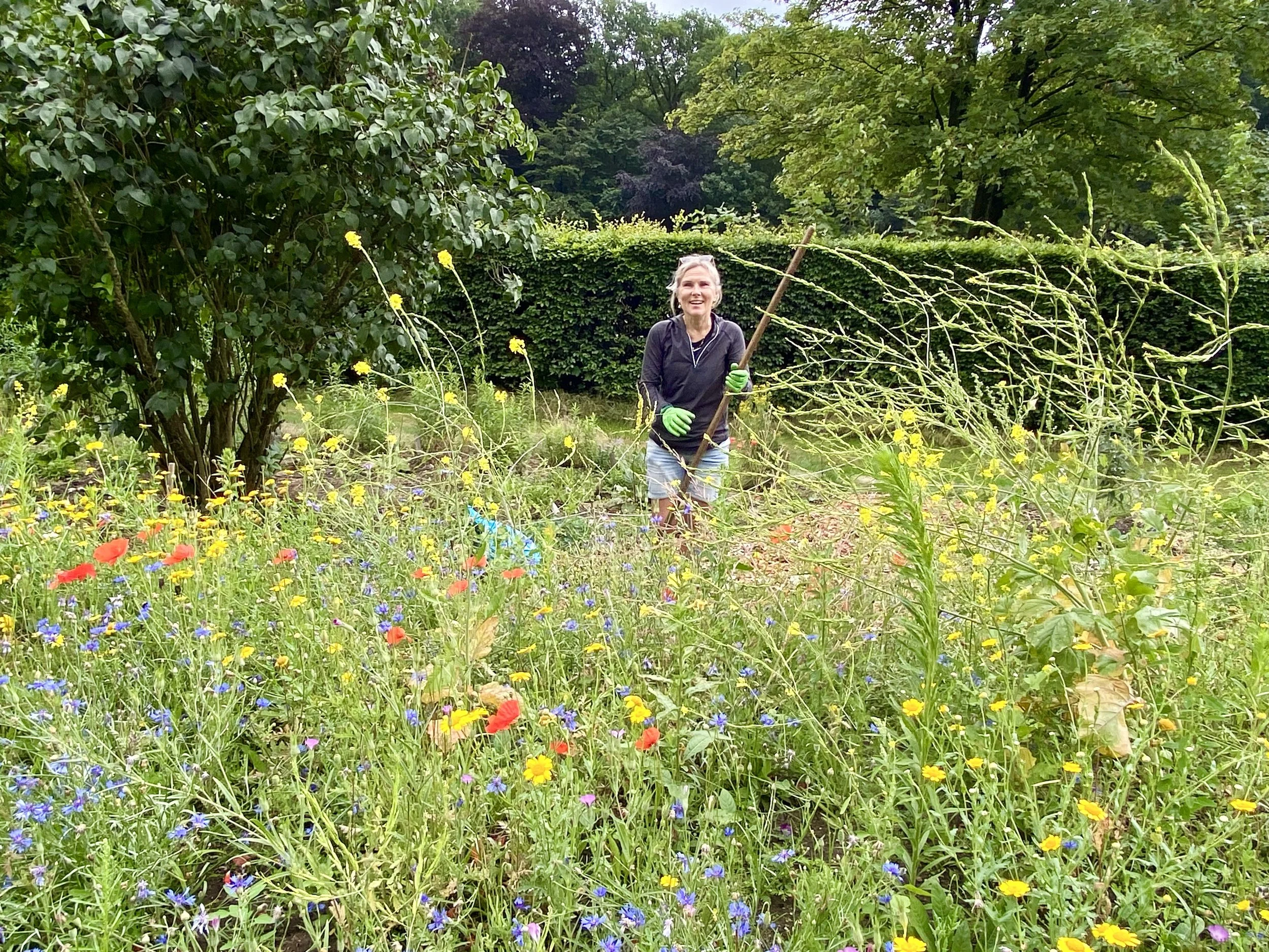 12-08-2023.3 Wilde Bloementuin Kwekerij Paleis Soestdijk 2.jpeg