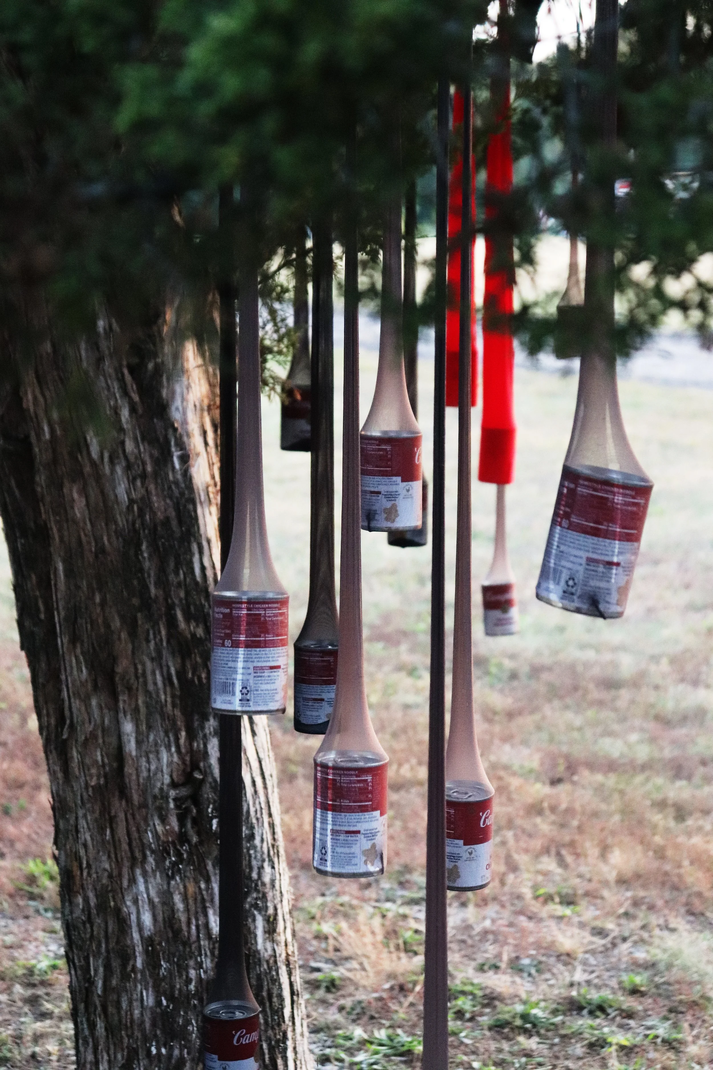 Soup for Your Family #4 - Campbell's Soup cans, pantyhose, tree, abandoned track and field (2026)