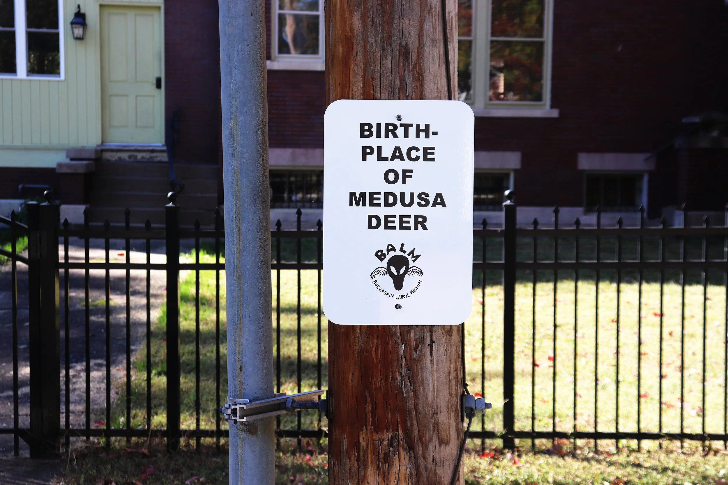 Big Muddy Monster Atlas Project - aluminum signs, vinyl, hardware, irrealist signs placed around southern Illinois (2026) 