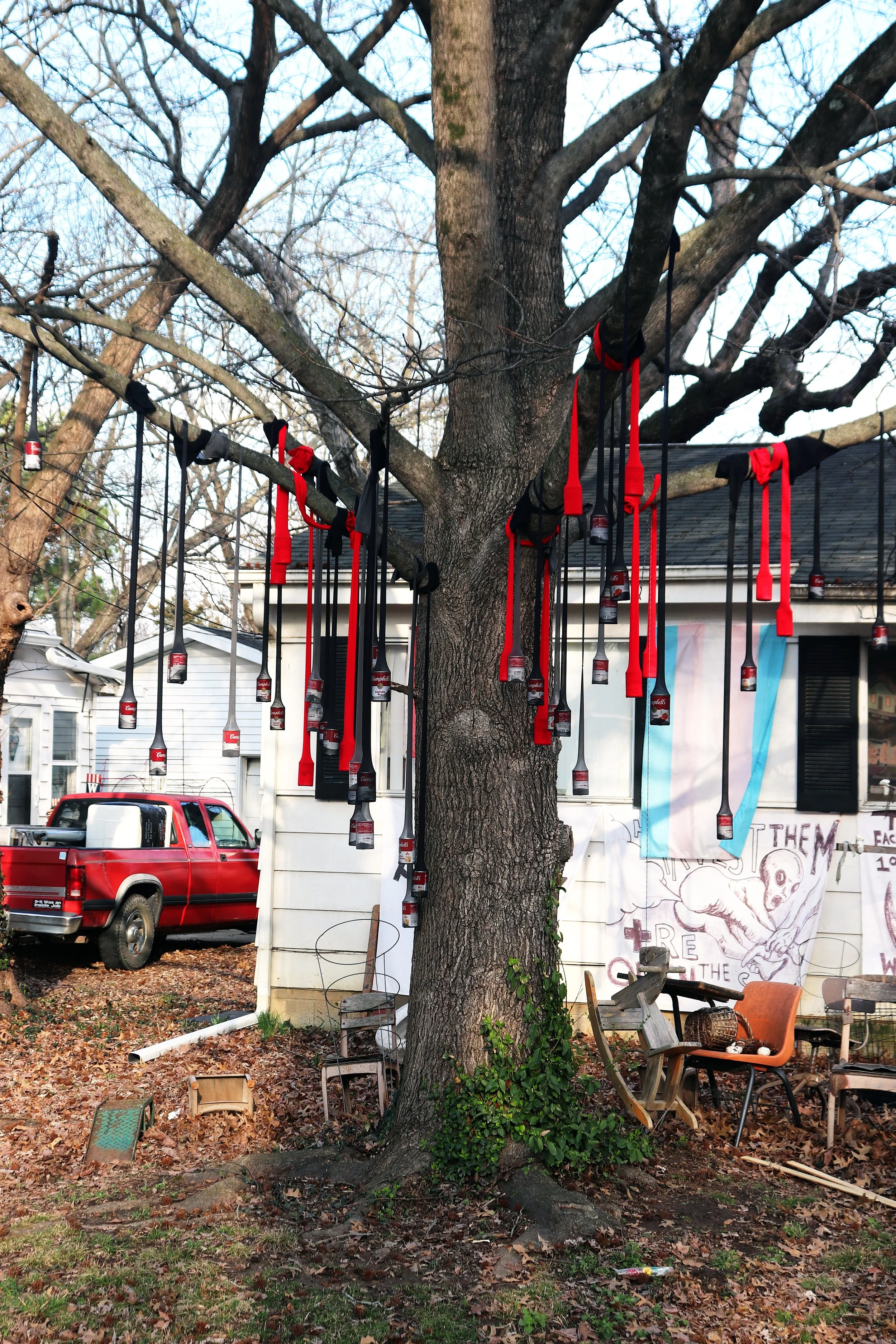 Soup for Your Family - Campbells Soup, Pantyhose, tree (2026)