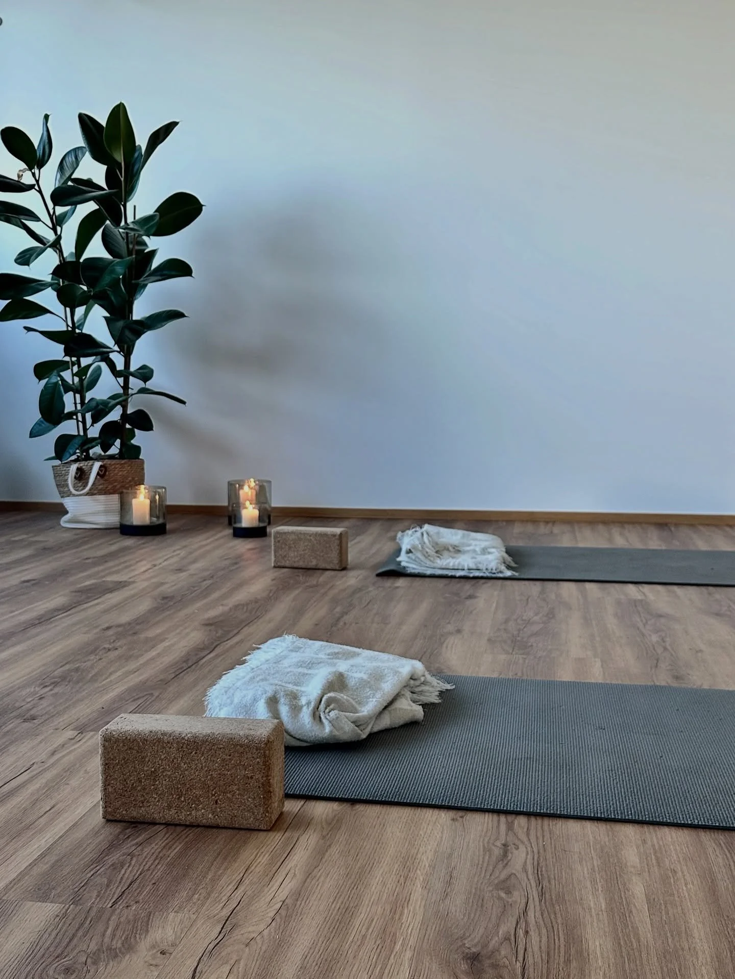 ✺ G&ouml;nn dir deine Auszeit im Studio Bloom in Biengen ✺

Teste diesen November unsere vielseitigen Kurse auf Spendenbasis. Ob Achtsamkeit, Yoga, Pilates, Breathwork, somatische &Uuml;bungen f&uuml;r den Vagusnerv, Cacao Rituale oder Aroma und Kr&a