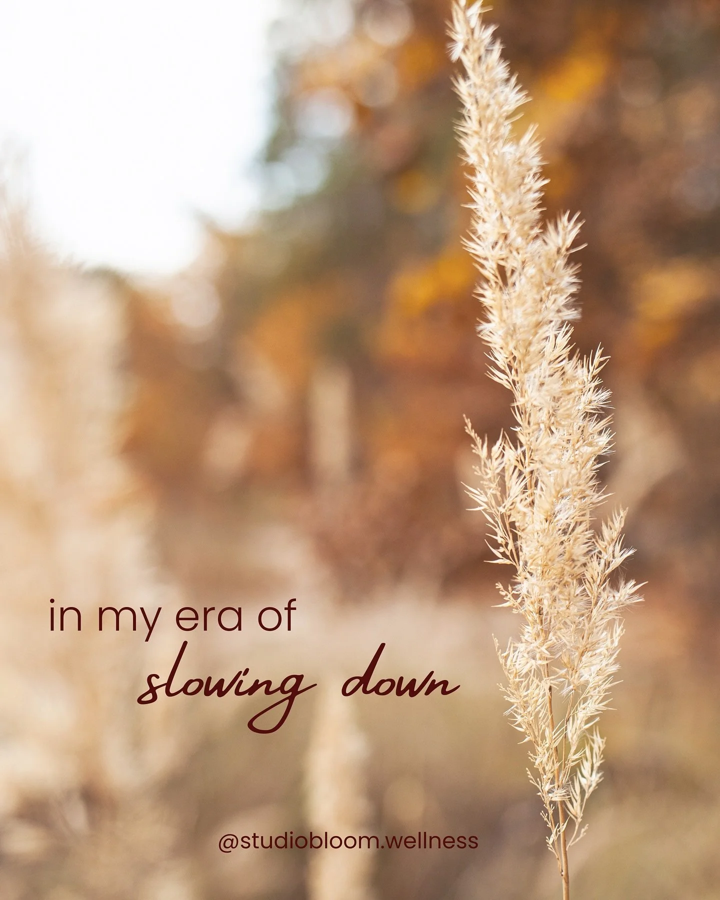 In my era of slowing down.

Langsamkeit ist kein R&uuml;ckschritt &ndash; sie ist Erinnerung.
Daran, dass ich nicht mehr werden muss, um ganz zu sein.
Dass Ruhe nicht Stillstand bedeutet,
sondern den Moment, in dem sich das Leben wieder sortiert.

Ic