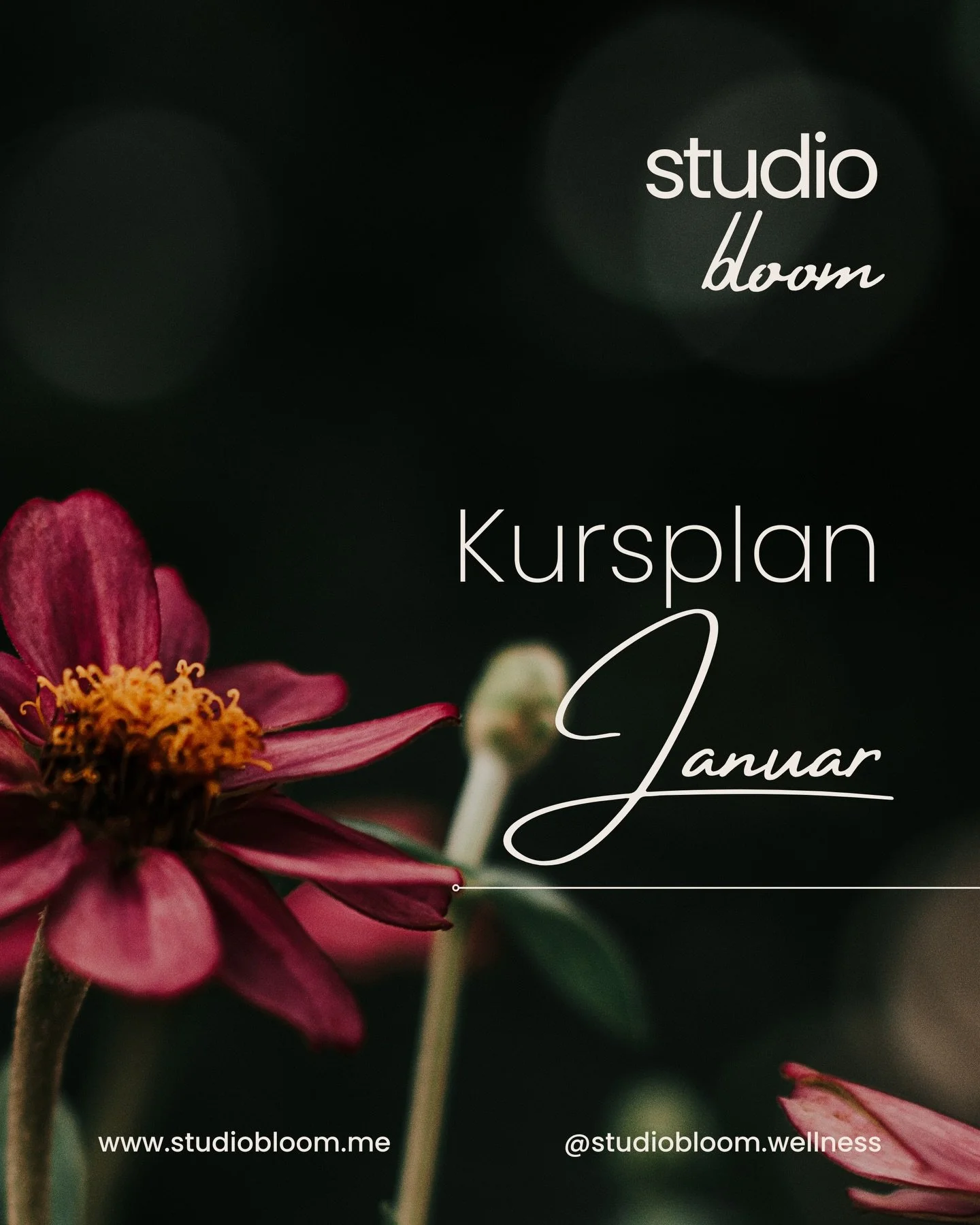✨ Januar im Studio Bloom | Wellness f&uuml;r K&ouml;rper, Geist &amp; Seele ✨

Der Jahresbeginn darf sanft sein.
Ohne Vors&auml;tze. Ohne h&ouml;her, schneller, weiter.

Unser Kursplan im Januar l&auml;dt dich ein,
langsamer zu werden, im K&ouml;rper