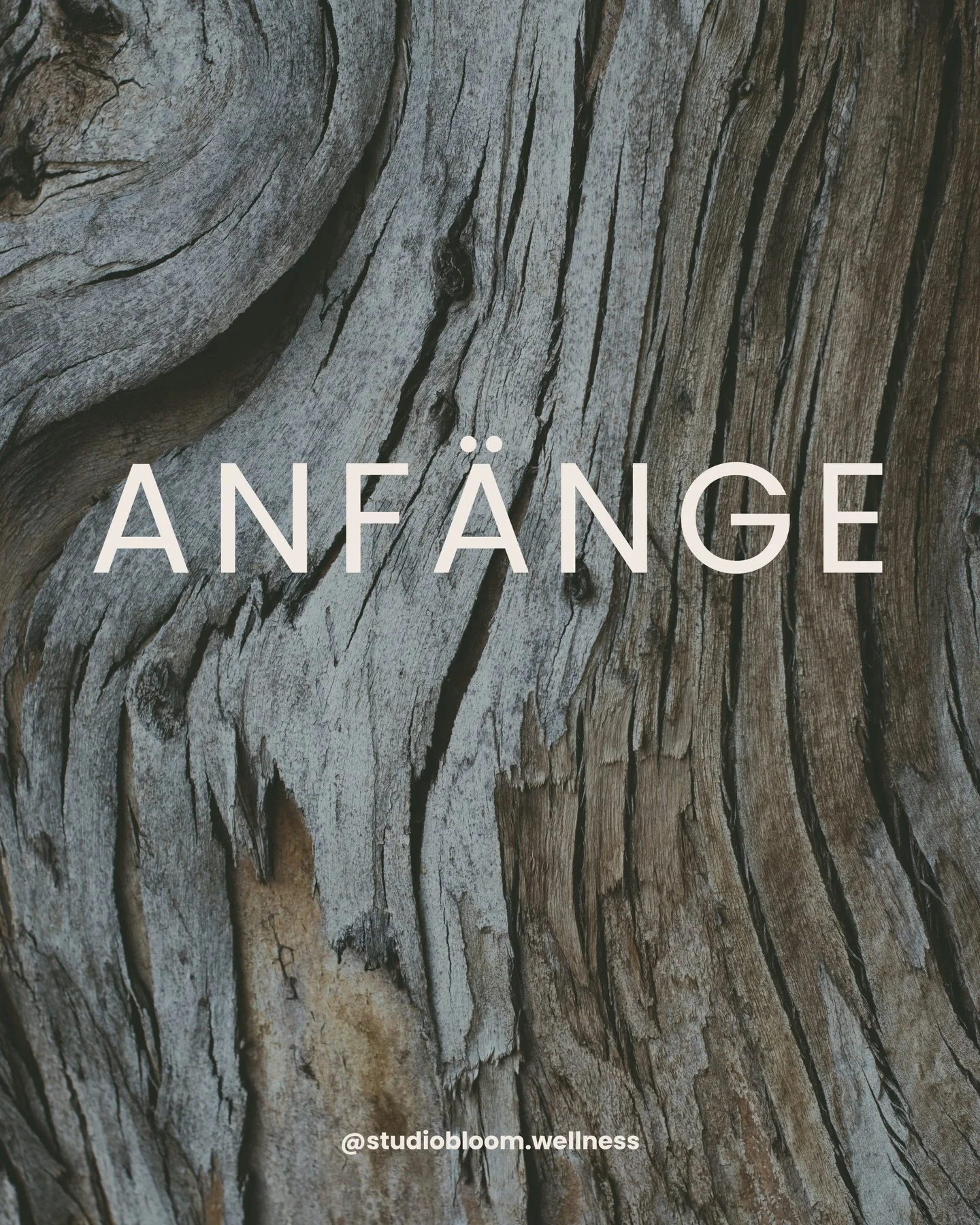 Willkommen im neuen Jahr ✨

Ein neues Jahr beginnt nicht mit einem Sprung nach vorne,
sondern mit einem Atemzug.
Mit einem Moment des Innehaltens.
Mit der Frage: Wie m&ouml;chte ich mich f&uuml;hlen?

Im Studio Bloom verstehen wir den Jahresanfang ni