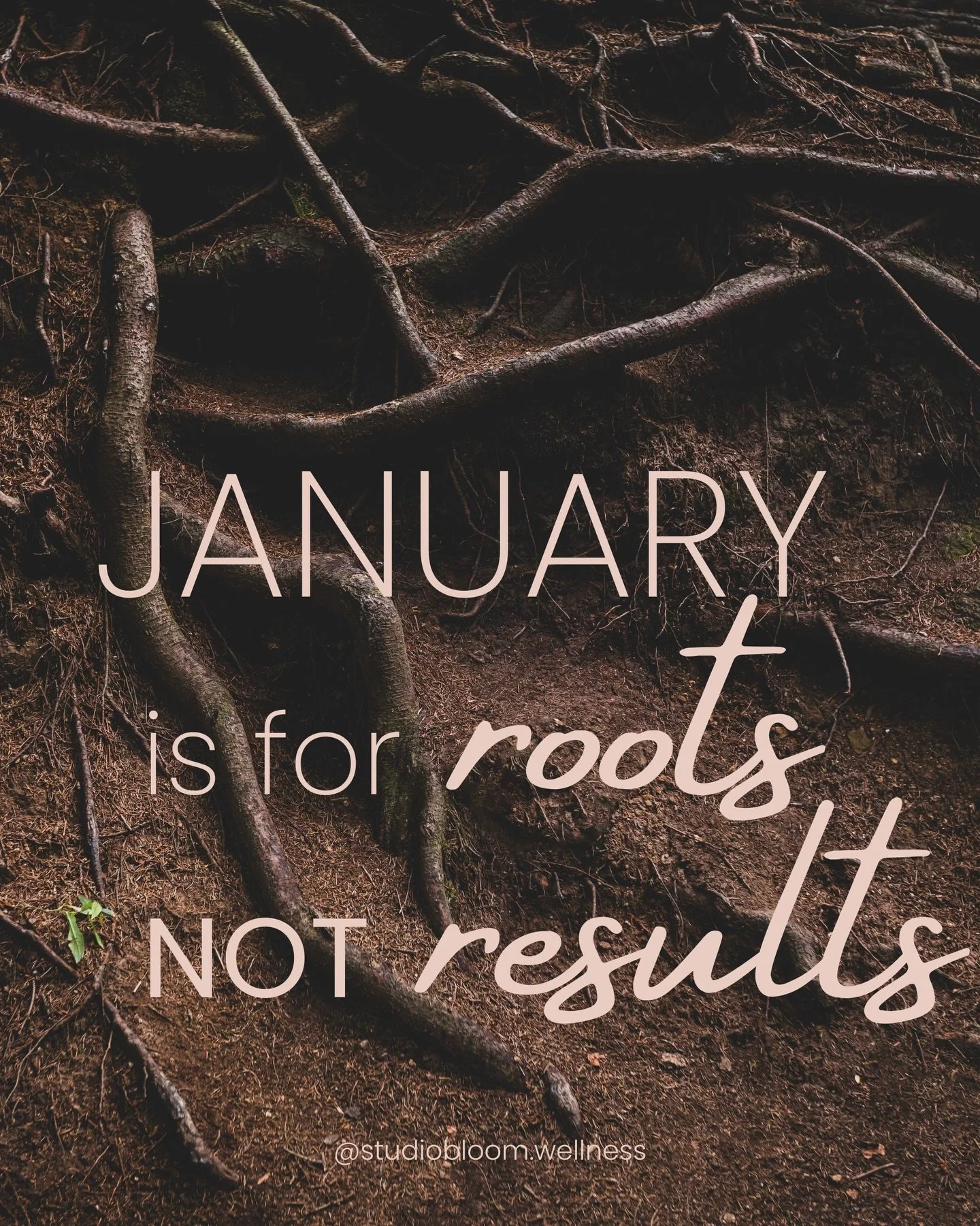 January is for roots, not results.

Nicht f&uuml;r Vors&auml;tze.
Nicht f&uuml;r Tempo.
Nicht f&uuml;r Druck.

Der Januar l&auml;dt uns ein, still zu werden.
Wurzeln zu schlagen, wo es leise ist.
Dem Boden zu vertrauen, auch wenn noch nichts sichtbar
