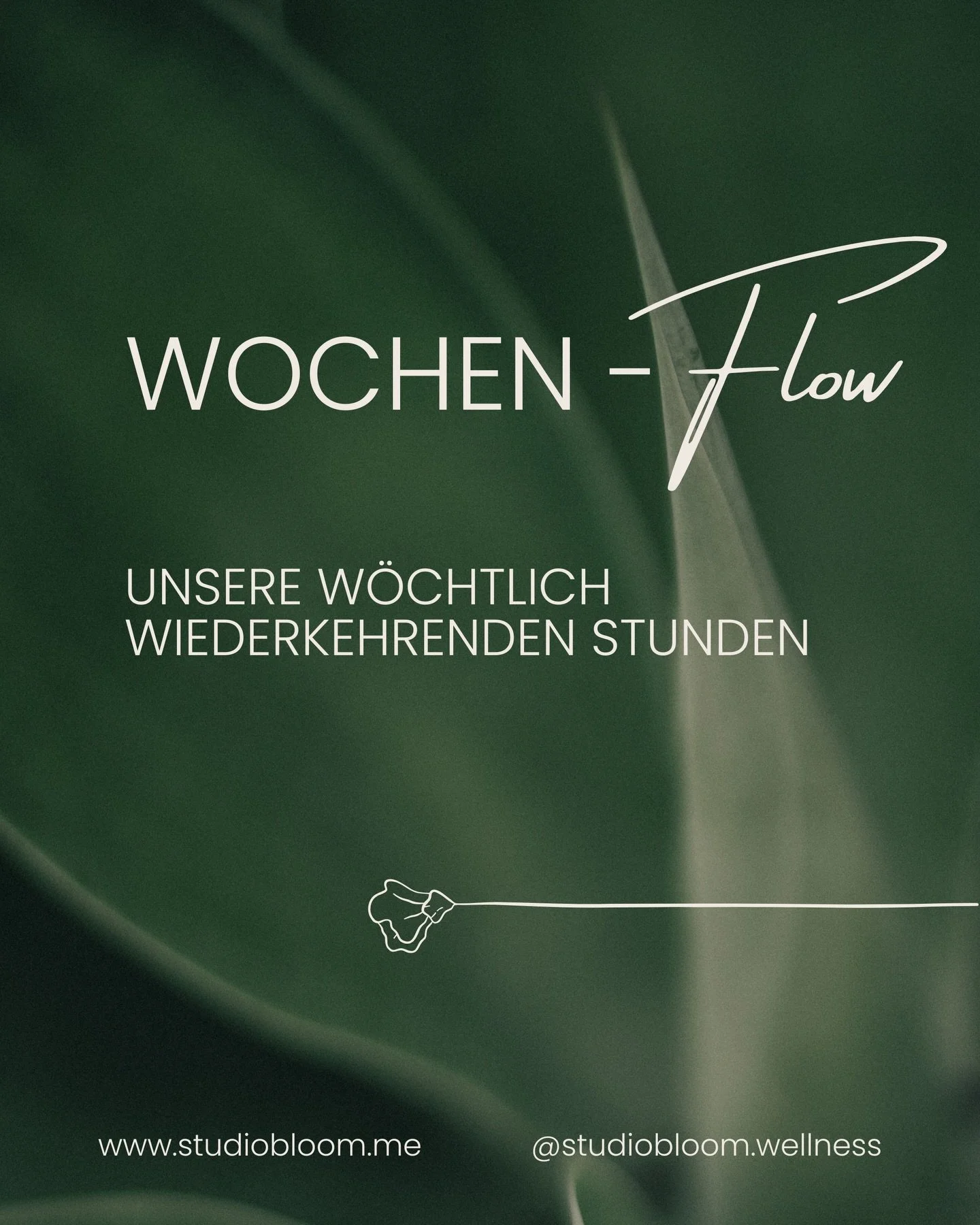 Der Wochen-Flow im Studio ✺
Regelm&auml;&szlig;ige R&auml;ume, in die du immer wieder zur&uuml;ckkehren kannst &mdash; Bewegung, Stille und Entspannung im eigenen Rhythmus.

Ab 01. M&auml;rz laufen alle Kurse &uuml;ber unser Buchungssystem (Eversport