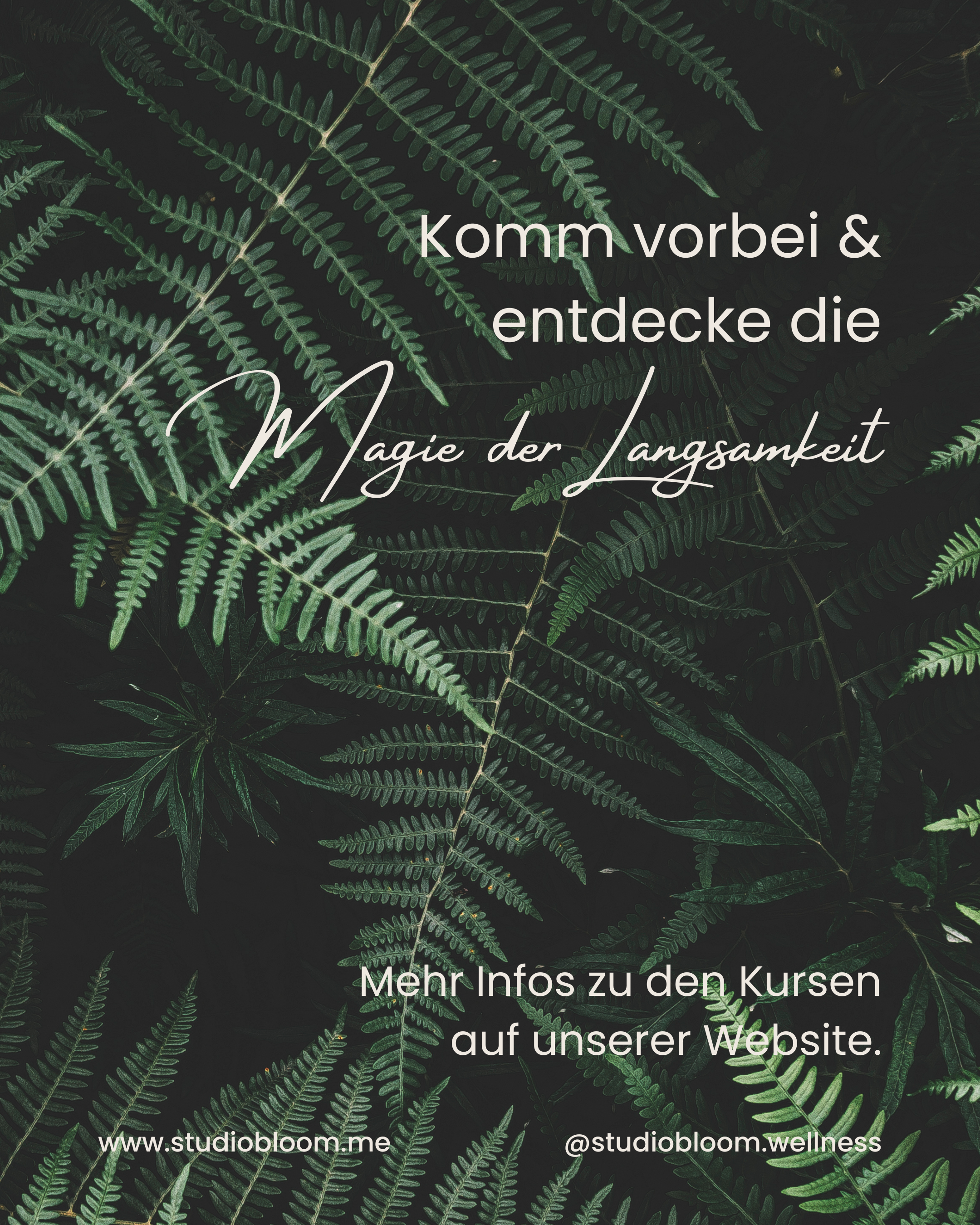 Kursplan im Februar - Yoga, Pilates, Aromatherapie, Breathwork, Entspannung, Achtsamkeit, Cacao, Full Moon