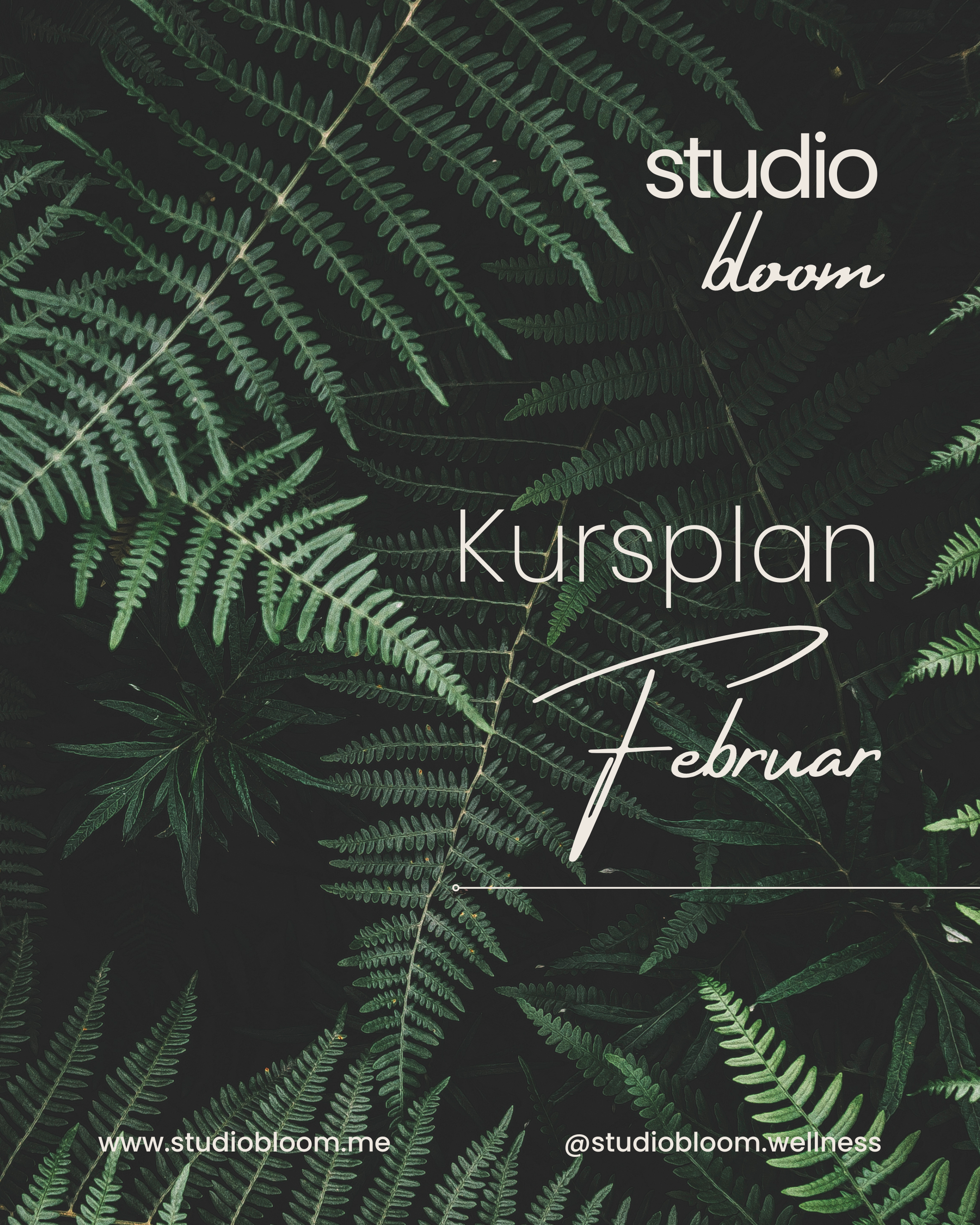 Kursplan im Februar - Yoga, Pilates, Aromatherapie, Breathwork, Entspannung, Achtsamkeit, Cacao, Full Moon