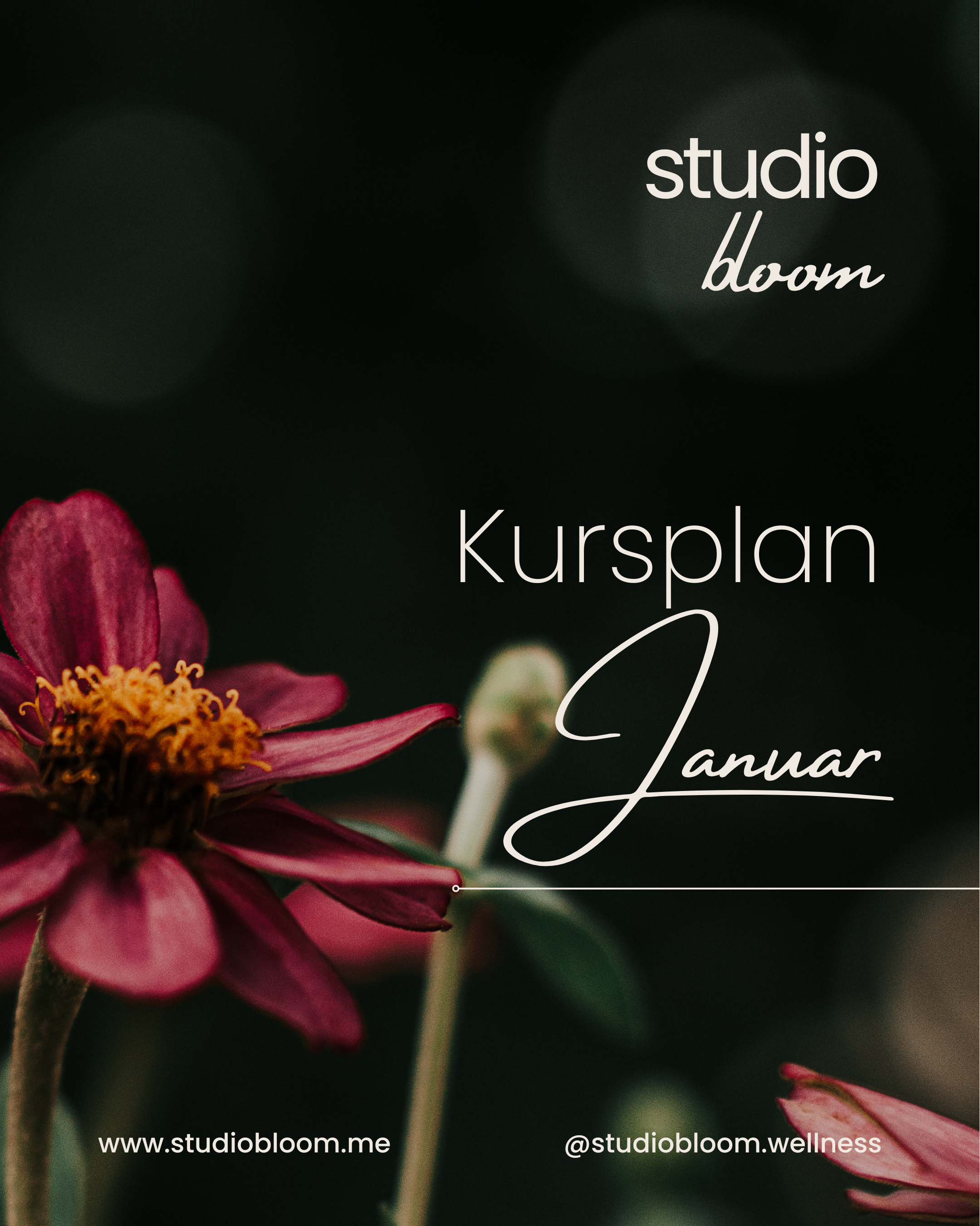 Kursplan im Januar