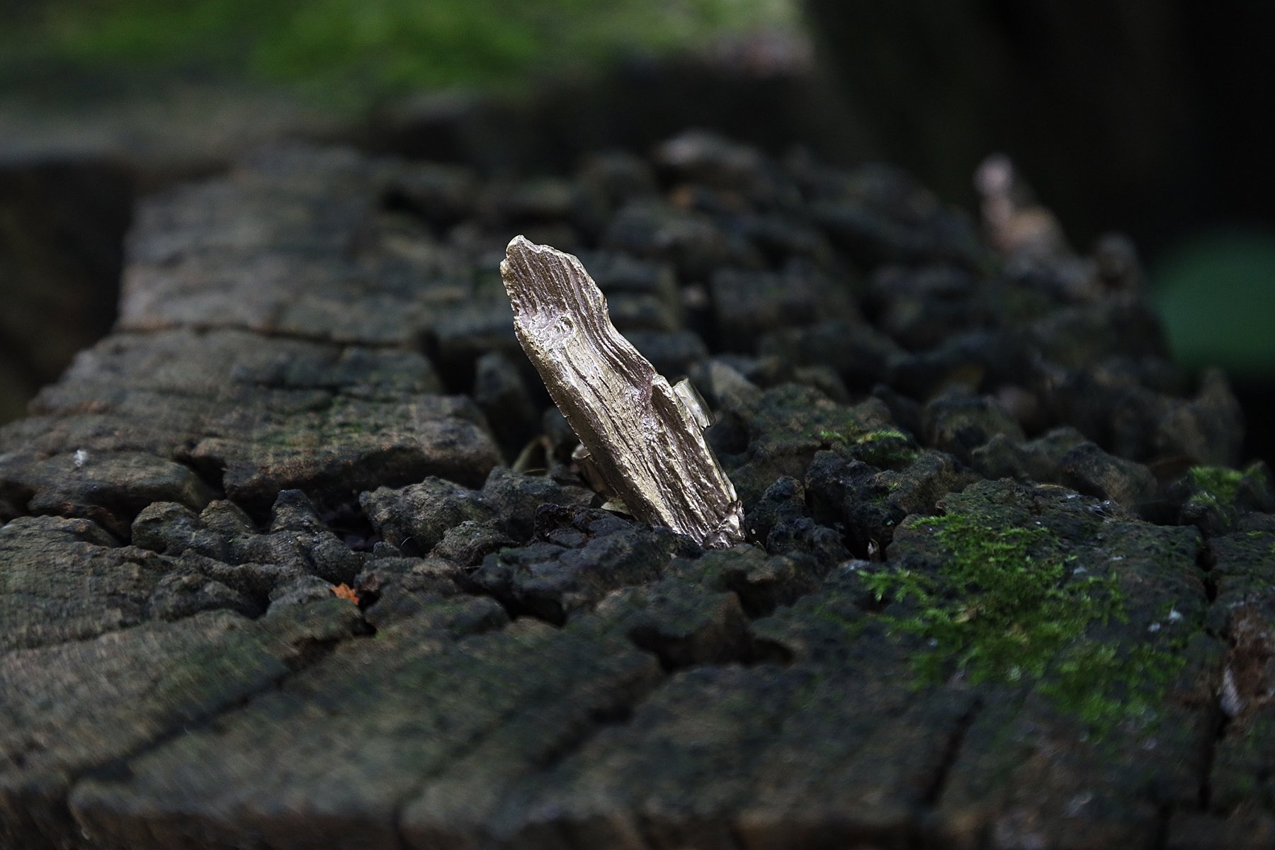 _MG_1103.jpg