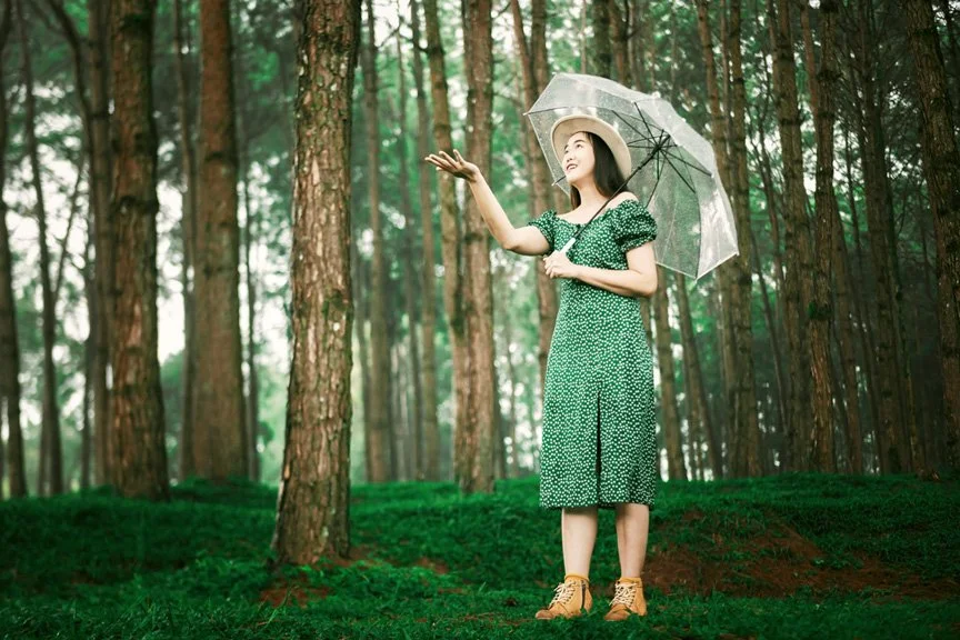 A woman in a green dress holding a transparent umbrella standing in a forest.