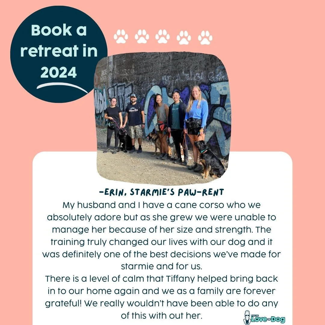 For The Love Of Dog Dog Boarding & Training in Northern California