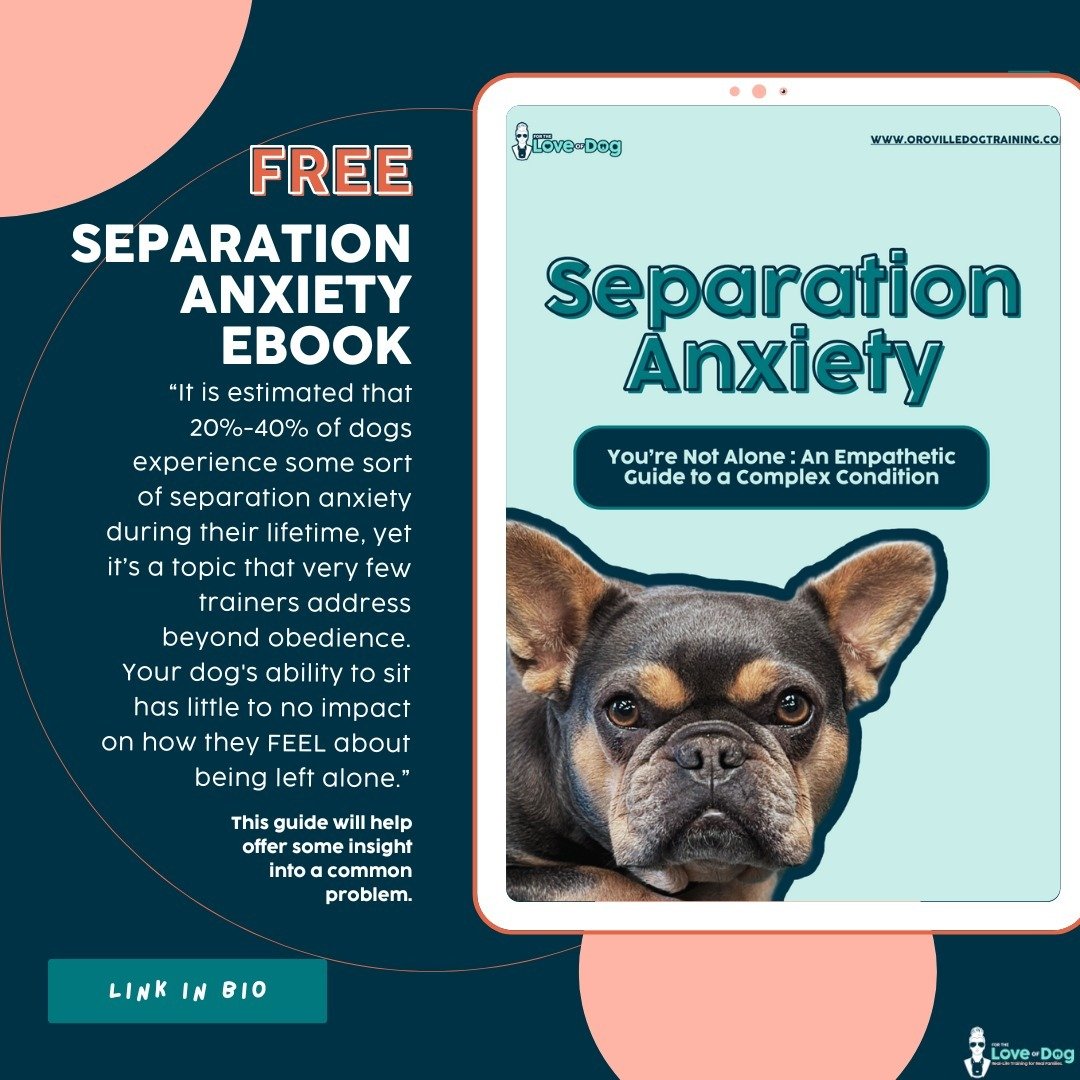 Our second FREE ebook is now available!

Sleepless nights, constant pacing, anxiety, and that&rsquo;s just you! Having a dog with separation anxiety is heartbreaking.

 It feels like you are alone and have little to no help.

It is estimated that 20%
