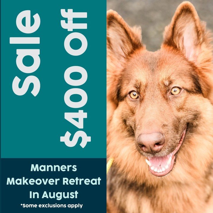 One remaining spot in August! 
 
Does your dog pull on the leash and make your walks less enjoyable?

Does your dog frequently wander away, only returning to you when it deems convenient?

Are you struggling to maintain a harmonious relationship with