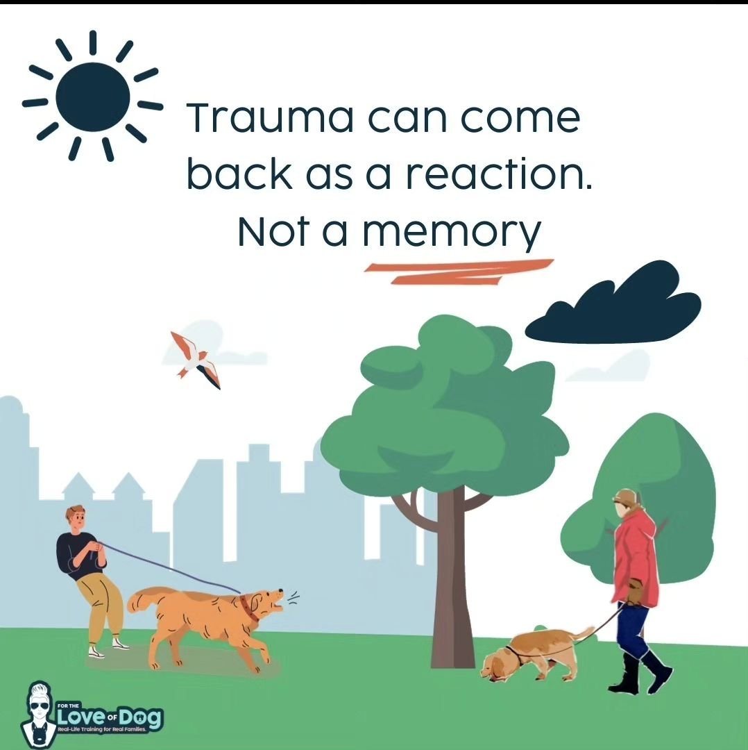 Many of my consultations for retreats are centered around behavior issues. STOPPING behavior.

 In order for us to stop the symptoms of lunging at other dogs (people), pulling on leashes, barking out the window, and destructive behavior, we need to a
