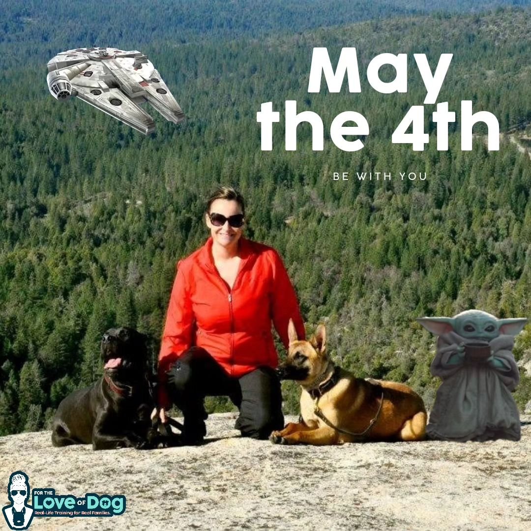 May the 4th be with you! 

#may4th #starwarsday