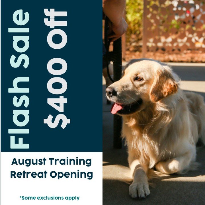 The economy has made people uneasy, so we're offering a discount on our last August spot for approved dogs. 
 

Does your dog frequently wander away, only returning to you when it deems convenient?

Are you struggling to maintain a harmonious relatio