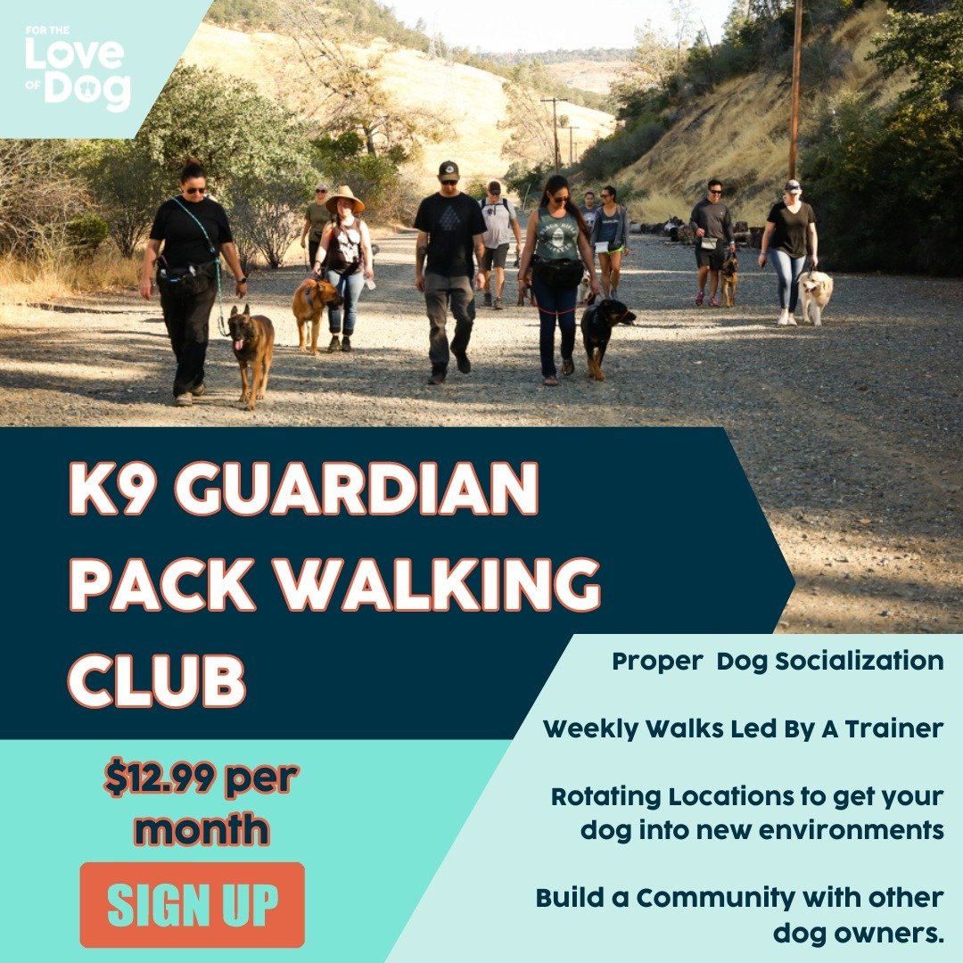 K9 Guardian Walking Club, Oroville, California

It&rsquo;s ruff finding ways to properly socialize your dog while building community with other dog lovers. We have developed a fantastic membership where you can work on leash skills, get some exercise