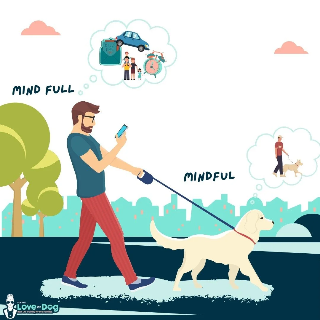 Showing Up for Your Best Friend

As a dog trainer, I often hear clients talk about &quot;getting the walk done!&quot; 

But let's not forget that our furry friends have been waiting all day for this moment&mdash;to connect with us and have our undivi