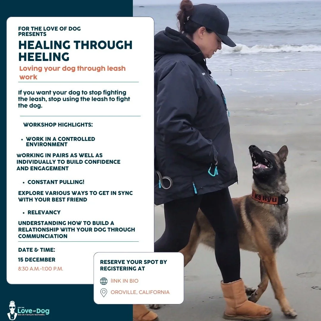 Is your dog walking YOU?

Tired of struggling with leash pulls and reactivity?

Join our &quot;Healing with Heeling&quot; workshop and learn gentle leash work techniques to communicate better with your furry friend!
When: Dec 15th, 8:30am-noon
Where: