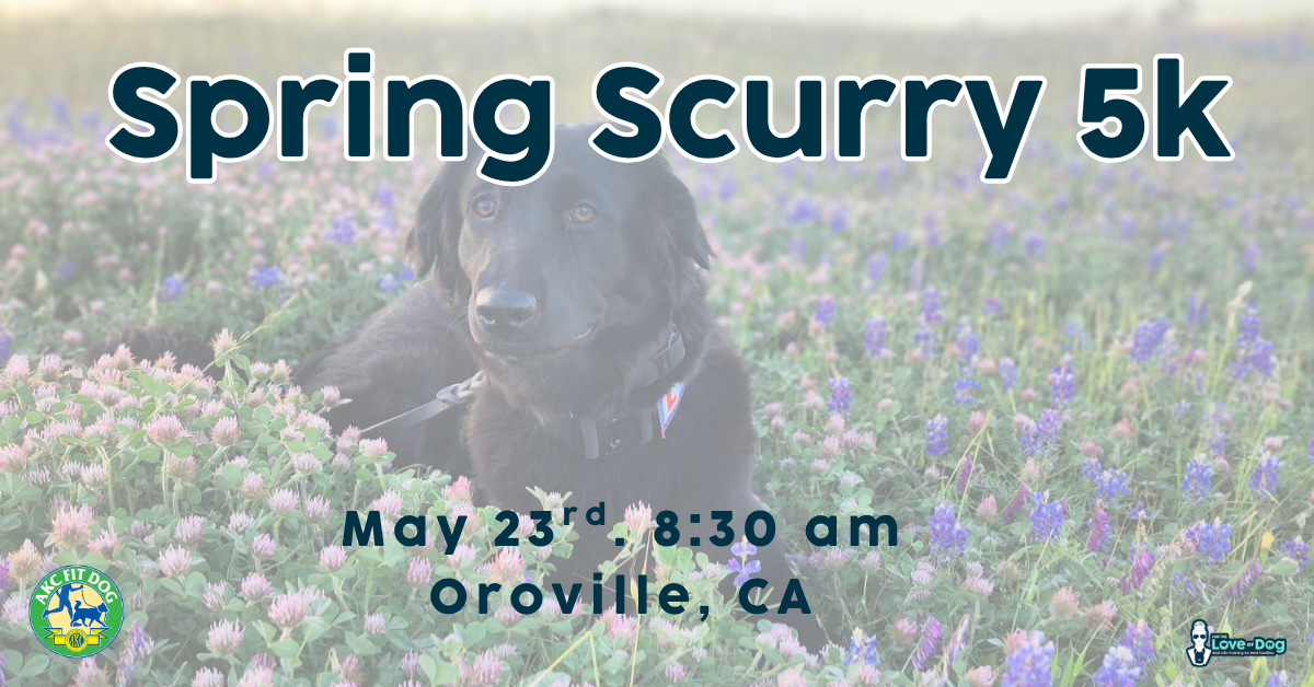 Spring Scurry 